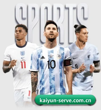 五大服务分区,信息按项目分类 | kaiyun