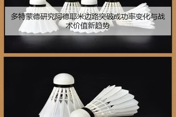 多特蒙德研究阿德耶米边路突破成功率变化与战术价值新趋势